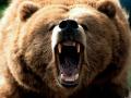 Аватар для bolshoi medved